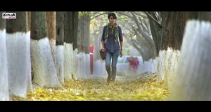 Punjabi Movie Sikander Title Song Lyrics